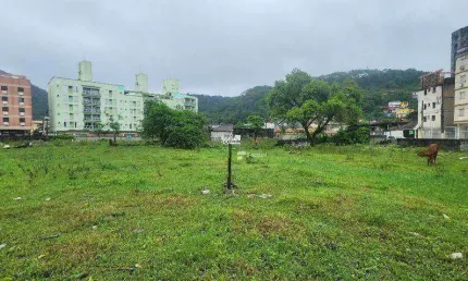 Terreno à venda na Praia da Enseada - Guarujá - São Paulo