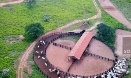 Fazenda à venda, 47220000 m² por R$ 160.000.000,00 - Centro - Ribas do Rio Pardo/MS