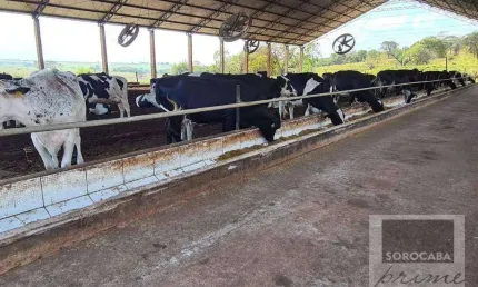 Fazenda à venda, 750200 m² por R$ 4.500.000,00 - Centro - Emilianópolis/SP