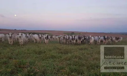 Fazenda à venda, 26136000 m² por R$ 165.000.000,00 - Centro - Pompéia/SP