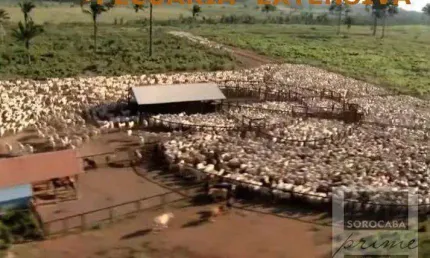 Fazenda à venda, 4270000000 m² por R$ 8.000.000.000,00 - Nova Marabá - Marabá/PA