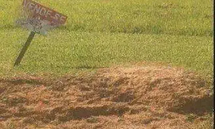 Terreno à venda, 1000 m² por r$ 240.000,00 - condomínio vale do lago - sorocaba/sp