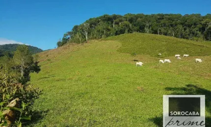 Fazenda à venda, 202000 m² por r$ 980.000,00 - serra - iporanga/sp
