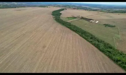 Fazenda de Alto Rendimento à Venda em Piracanjuba, GO – 124 Alqueires com Infraestrutura Completa