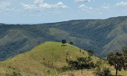 Fazenda à venda na Rua Manoel Perdigão, Zona Rural, Bom Jardim de Goiás