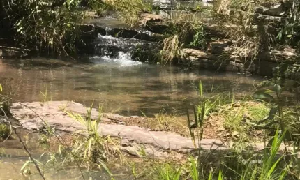Fazenda com 1 sala à venda na Fazenda Canabrava, Zona Rural, Flores de Goiás