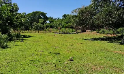 Fazenda com 1 sala à venda na Avenida Mato Grosso, 1, Zona Rural, Nova Xavantina