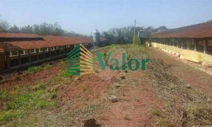 Sítio Estrada São Carlos Ribeirão - próximo São Carlos
