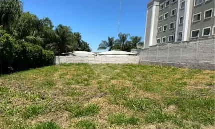 Terreno-são carlos-jardim ricetti | ref.: reo904971