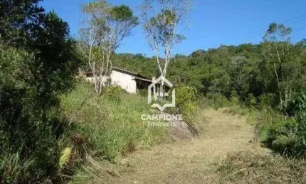 Chácara à venda, 3680 m² por R$ 280.000,00 - Piedade - Piedade/SP