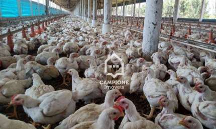 Sítio à venda, 243600 m² por R$ 4.000.000,00 - Zona Rural - Iperó/SP