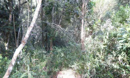 Terreno à venda no Vale das Serras, Suzano 