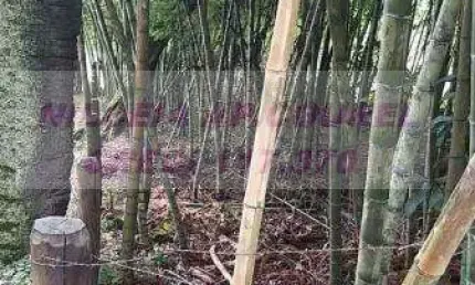 Terreno à venda no Quatinga, Mogi das Cruzes 