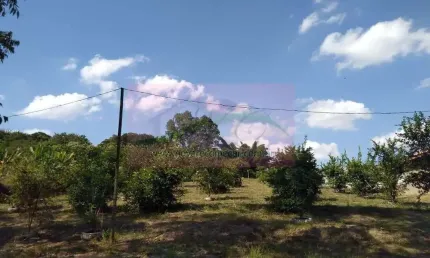 Sítio para Venda em Piracicaba, Anhumas, 2 dormitórios, 1 banheiro, 10 vagas