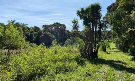 Sítio para venda em mogi das cruzes, quatinga, 2 dormitórios, 2 banheiros