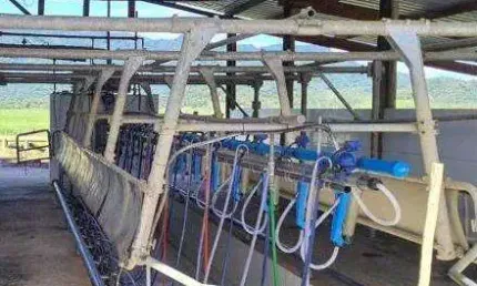 Fazenda à venda no Centro, Iguape 