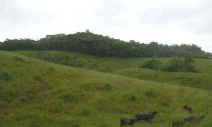 Terreno à venda no Parque Santa Rosa, Suzano 