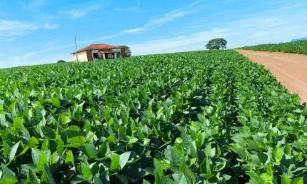 Fazenda para Venda em São Sebastião do Paraíso, ,,,