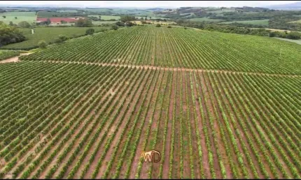 Fazenda à venda no Centro, São José da Barra 