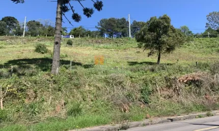 Terreno à venda na estrada do imigrante, 1, nossa senhora das graças, caxias do sul por r$ 160.000