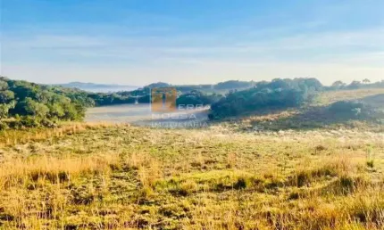 Chácara à venda 08 hectares, 80.000,00m², juá, são francisco de paula-rs