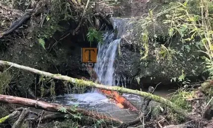 Chácara / sítio à venda na Nova Milano, Farroupilha 