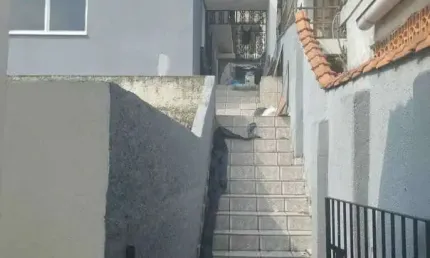 Casa com 3 quartos para alugar na Rua João Batista Pereira, 988, Jardim Pinheiros, São Paulo