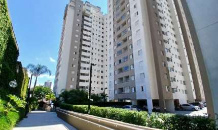 Apartamento para aluguel com 3 quartos - Vila Butantã - FL63