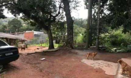 Terreno à venda na Avenida Vasco Massafeli, 540, Jardim Maria Tereza, Cotia, 6132 m2 por R$ 2.500.000