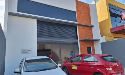 Barracão / Galpão / Depósito para alugar na Avenida Ministro Laudo Ferreira de Camargo, 2147483647, Jardim Peri Peri, São Paulo
