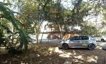 Casa com 2 quartos para alugar na Rua Iquiririm, Vila Indiana, São Paulo