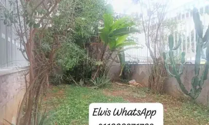 Casa com 3 quartos para alugar na Rua Tapejara, Jardim Bonfiglioli, São Paulo