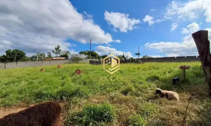 Terreno à venda, 1661 m² por R$ 180.000,00 - Chácara Ingrid - Taubaté/SP