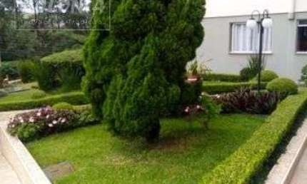 Apartamento a venda - Santa Terezinha, São Bernardo do Campo