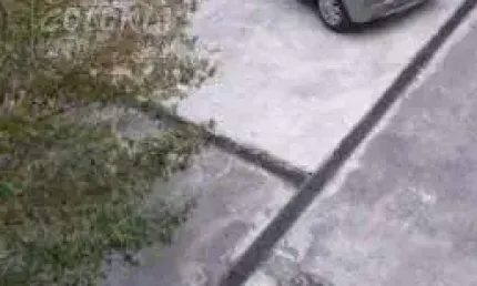 Prédio para venda ou locação - Nova Petrópolis, São Bernardo do Campo
