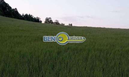 Linda área rural com 10 hectares Na Fazenda Fialho Próximo à RS 020 em Gravataí.