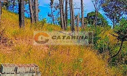 Terreno à venda na Dona Catarina, Dona Catarina, Mairinque