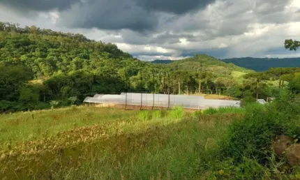 Chácara / sítio à venda na Segunda Legua, 1, Desvio Rizzo, Caxias do Sul