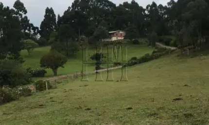 Chácara / sítio com 3 quartos à venda na Travessão Pedro Américo, 1, Serrano, Caxias do Sul