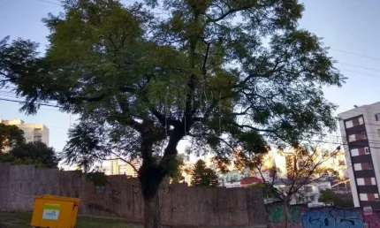 Terreno à venda na Rua Bento Gonçalves, 1, Centro, Caxias do Sul