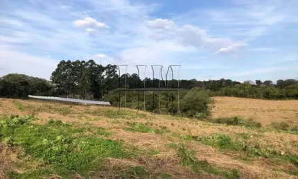 Chácara / sítio à venda na Estrada Velha, 1, São Cristóvão, Caxias do Sul