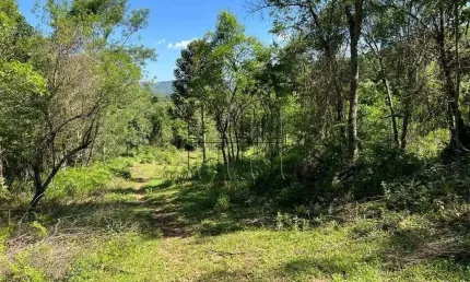 Chácara / sítio à venda na Distrito Linha Marcondes, 1, Carazal, Gramado
