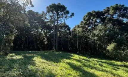 Casa  quartos no loteamento vila olímpia - fazenda souza