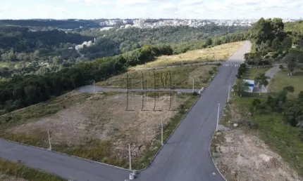 Terreno à venda na Estrada Municipal José Dedavid, 1, Santa Lúcia do Piaí, Caxias do Sul