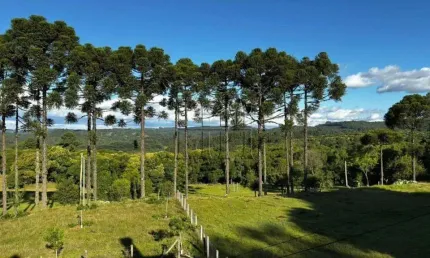 Chácara / sítio com 3 quartos à venda na Ismael José Rangel, 1, Ana Rech, Caxias do Sul