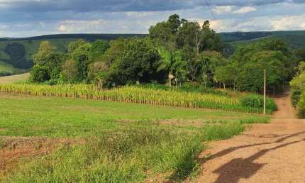 Chácara / sítio à venda na Zona Rural, Vera Cruz do Oeste 