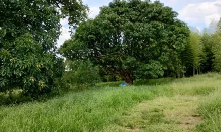 Terreno à venda na Rua Independência, Parque Alvorada, Suzano, 1500 m2 por R$ 400.000