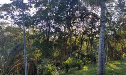 Chácara / sítio com 5 quartos à venda na rua eugênia, vale das serras, suzano, 5850 m2 por r$ 700.000