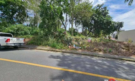 Terreno à venda, 594 m² por R$ 595.000,00 - Escola Agrícola - Blumenau/SC