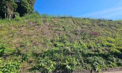 Terreno à venda, 476 m² por R$ 350.000,00 - Fortaleza - Blumenau/SC